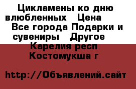 Цикламены ко дню влюбленных › Цена ­ 180 - Все города Подарки и сувениры » Другое   . Карелия респ.,Костомукша г.